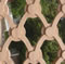 rohan ward designs